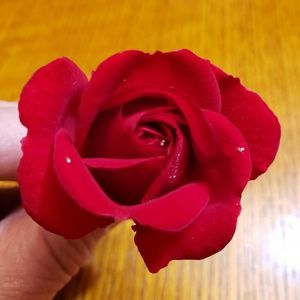 Meet your Posher, Lori